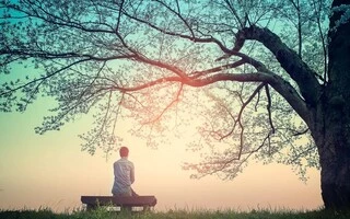 Picture from Biblestudytools.com Article by Clarence  L. Haynes